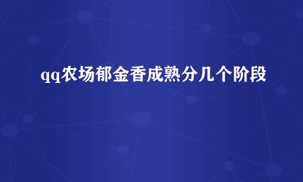 qq农场郁金香成熟分几个阶段