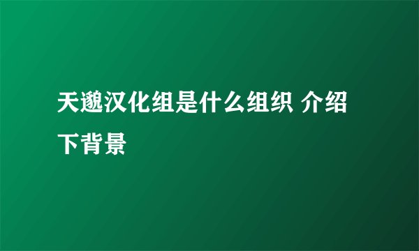 天邈汉化组是什么组织 介绍下背景