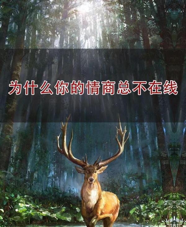情商不在线——硬伤
