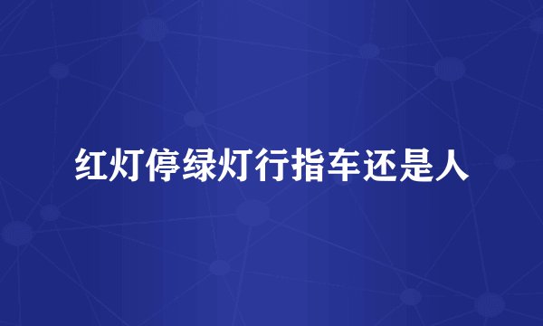 红灯停绿灯行指车还是人