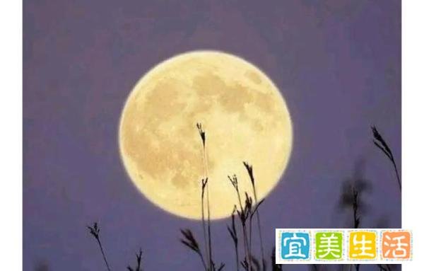 中国足球开会反思为什么0：7惨输给日本？