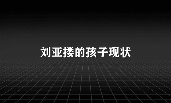 刘亚搂的孩子现状