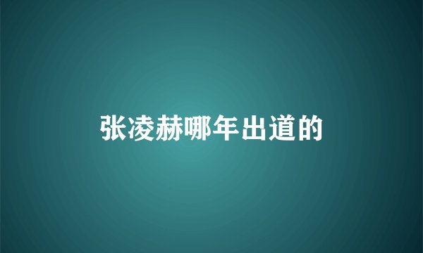 张凌赫哪年出道的