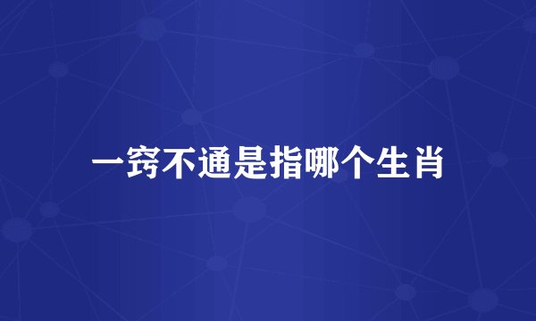 一窍不通是指哪个生肖