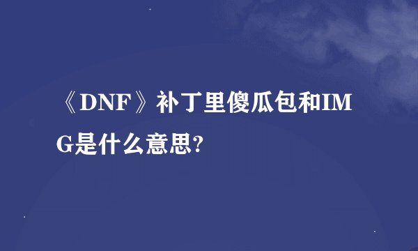 《DNF》补丁里傻瓜包和IMG是什么意思?