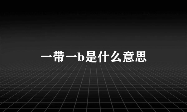 一带一b是什么意思