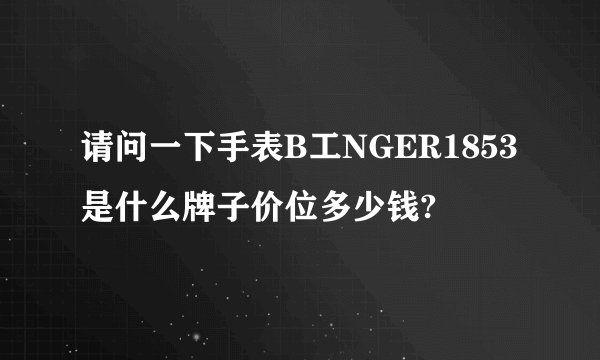 请问一下手表B工NGER1853是什么牌子价位多少钱?