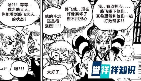 海贼王1008话汉化，凯多人兽形被丑哭，罗开始分兵解决两大四皇