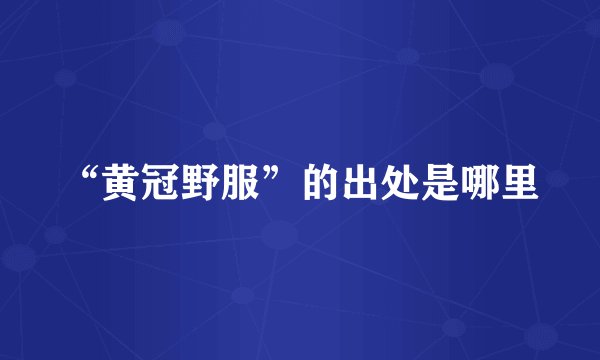 “黄冠野服”的出处是哪里