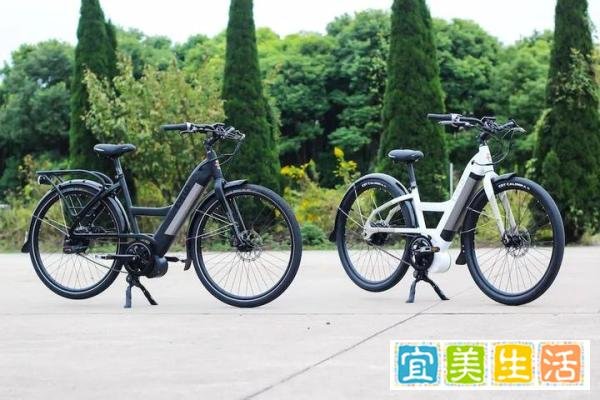 深圳电动自行车保险哪里查保单？