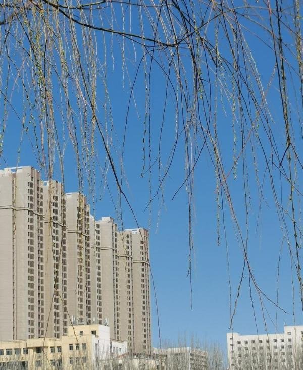 春光旖旎