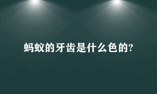 蚂蚁的牙齿是什么色的?