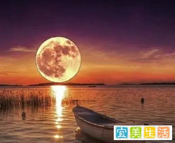中国足球开会反思为什么0：7惨输给日本？