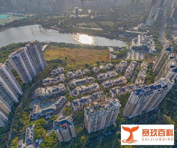 深圳富婆扎堆的地方:财富与生活方式的缩影