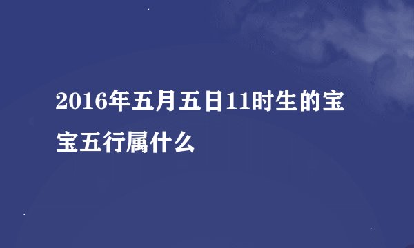 2016年五月五日11时生的宝宝五行属什么