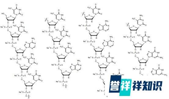 脊髓性肌萎缩症治疗药物|诺西那生钠注射液