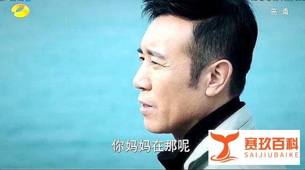 巡回检察组大结局:米振东认罪伏法!冯森回波立?罗欣然追人送旗