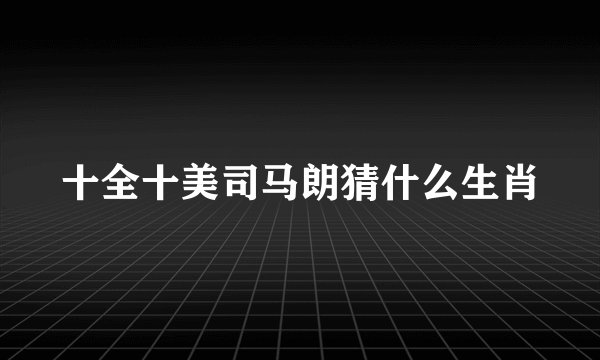 十全十美司马朗猜什么生肖