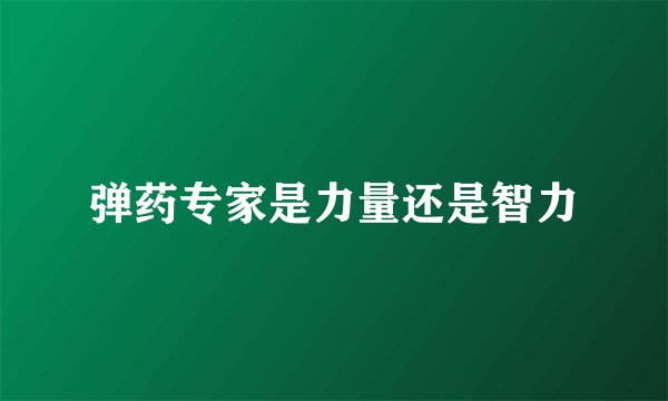 弹药专家是力量还是智力