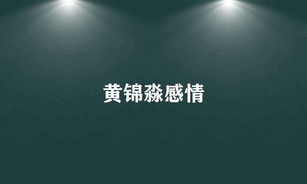 黄锦淼感情