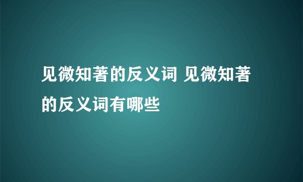 见微知著的反义词 见微知著的反义词有哪些