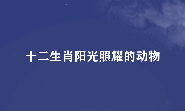 十二生肖阳光照耀的动物