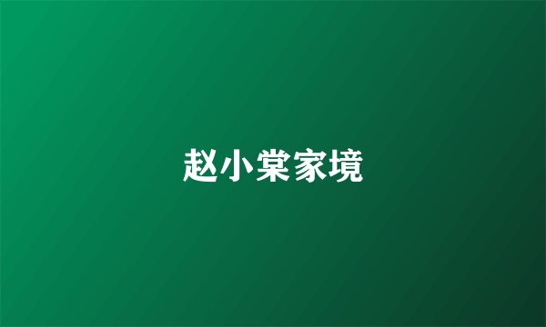 赵小棠家境