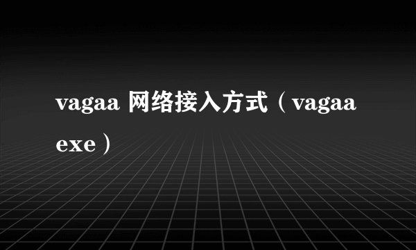vagaa 网络接入方式（vagaa exe）