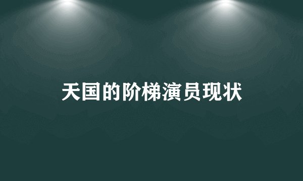 天国的阶梯演员现状