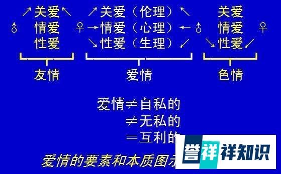 关于爱情的定义爱情?
