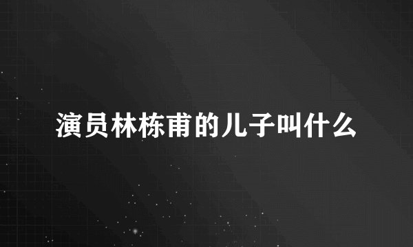 演员林栋甫的儿子叫什么