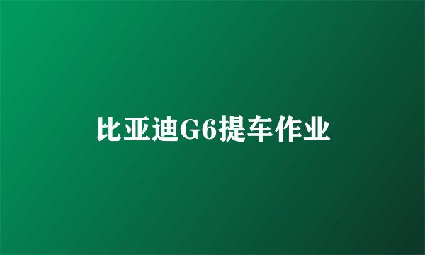 比亚迪G6提车作业