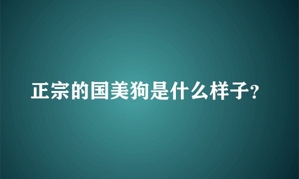 正宗的国美狗是什么样子？