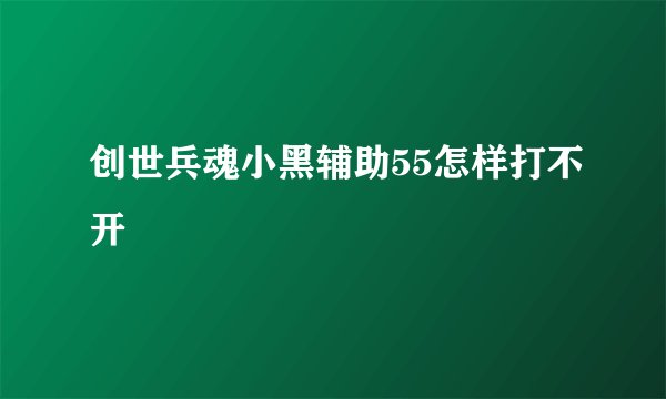 创世兵魂小黑辅助55怎样打不开