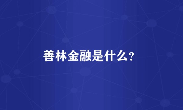 善林金融是什么？