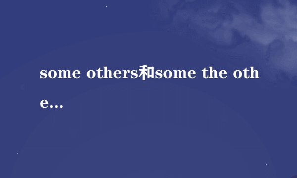 some others和some the others区别