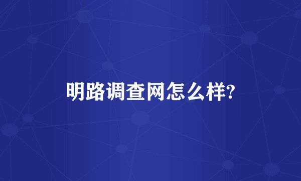 明路调查网怎么样?