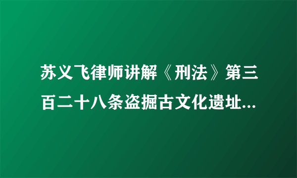 苏义飞律师讲解《刑法》第三百二十八条盗掘古文化遗址、古墓葬罪