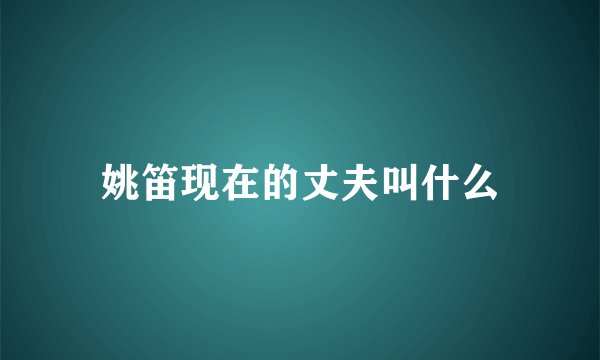 姚笛现在的丈夫叫什么