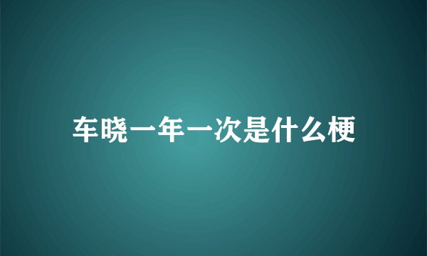 车晓一年一次是什么梗