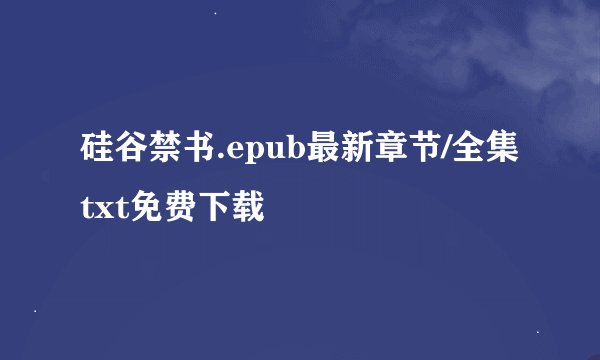 硅谷禁书.epub最新章节/全集txt免费下载