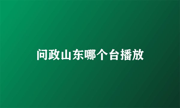 问政山东哪个台播放