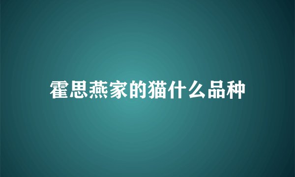 霍思燕家的猫什么品种