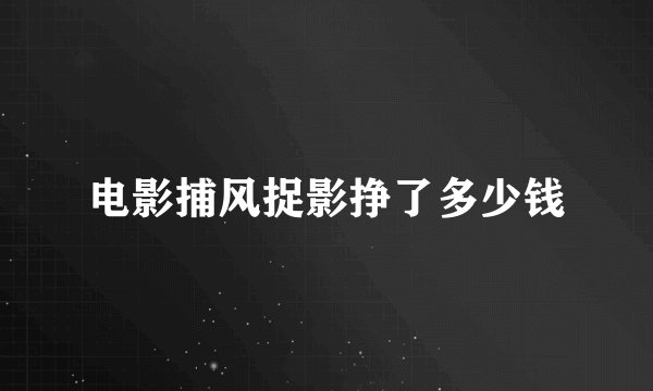 电影捕风捉影挣了多少钱