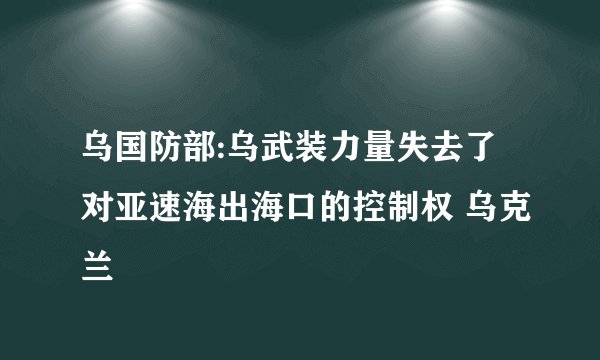 乌国防部:乌武装力量失去了对亚速海出海口的控制权 乌克兰