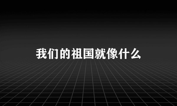 我们的祖国就像什么