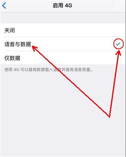 苹果6p怎么打开VOLte功能