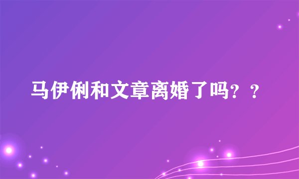 马伊俐和文章离婚了吗？？