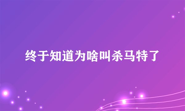 终于知道为啥叫杀马特了