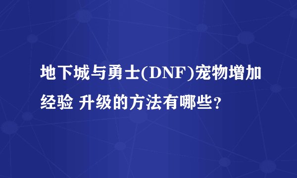 地下城与勇士(DNF)宠物增加经验 升级的方法有哪些？